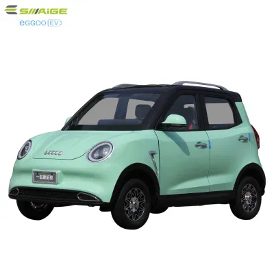 Saige High Motor E-Auto mit EWG für den amerikanischen Markt